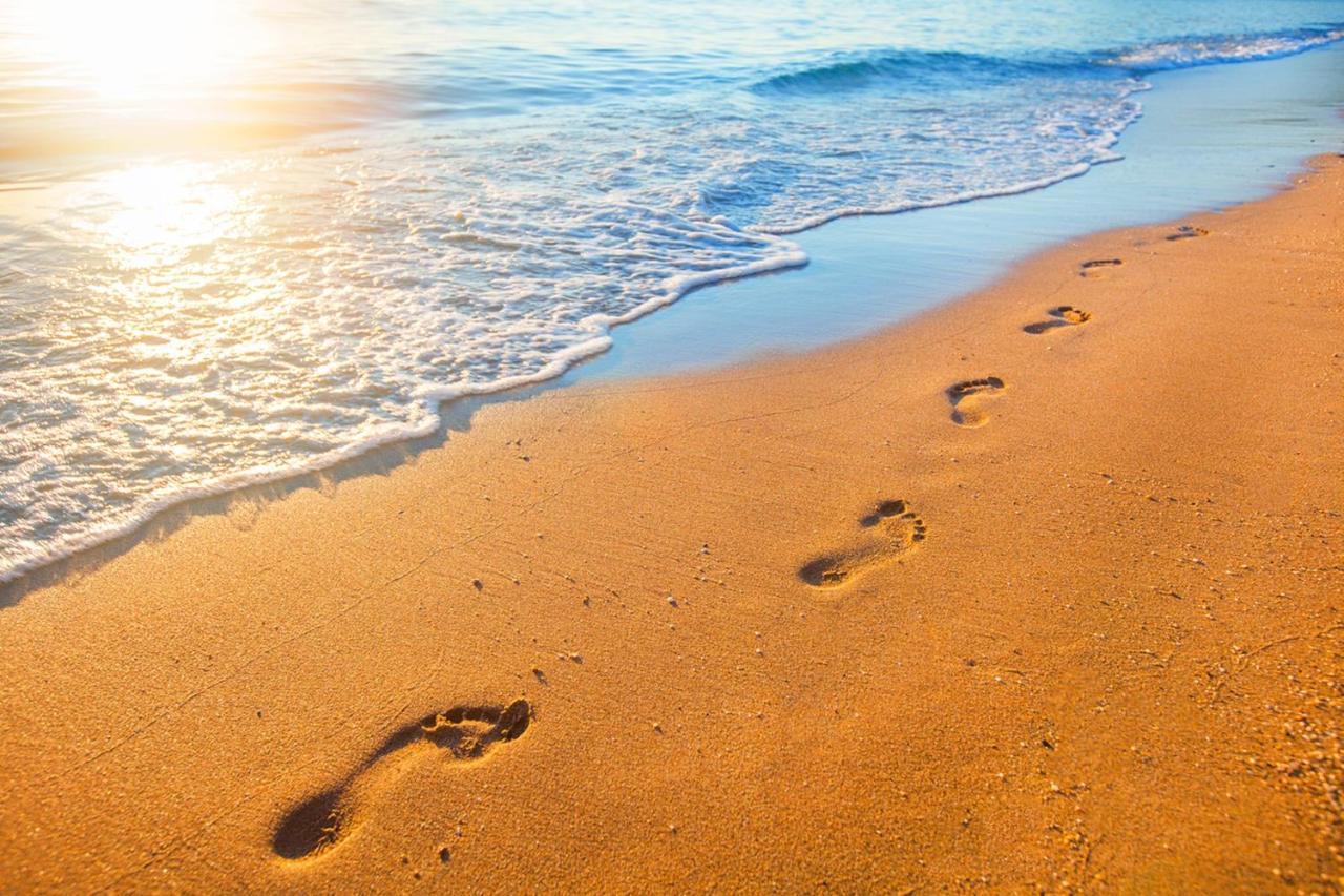 Beach Villa Home - Walk To Beaches Trails Restaurants Activities & More Гаф-Мун-Бей Екстер'єр фото